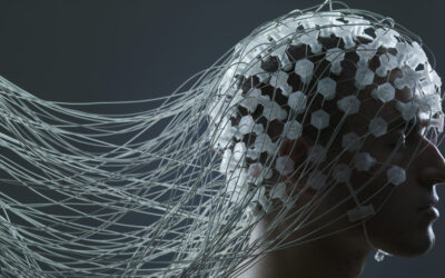 Neuromarketing, ¿cómo venderle a los 3 cerebros?